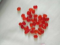 कैरोलीन स्टोन