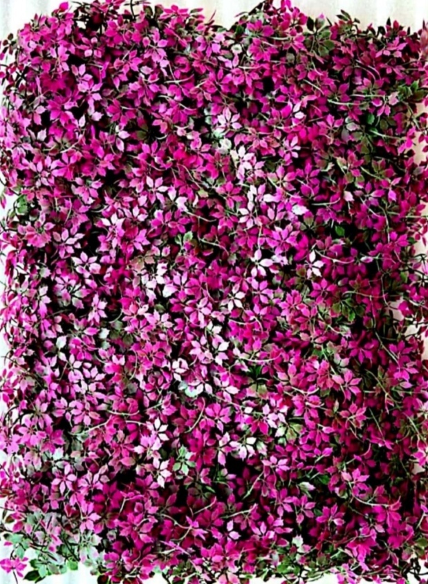 Vertical Garden Wall