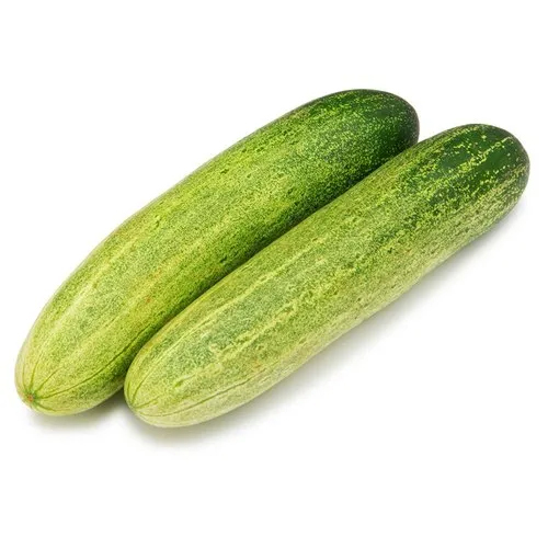 Natural Green Cucumber