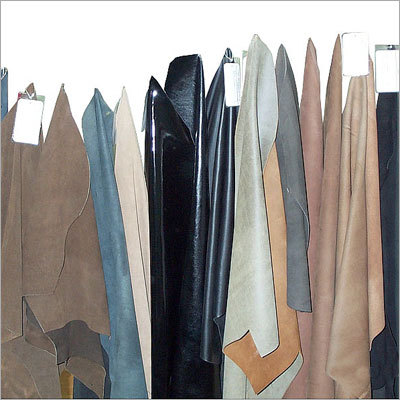 गाय की चमड़ा