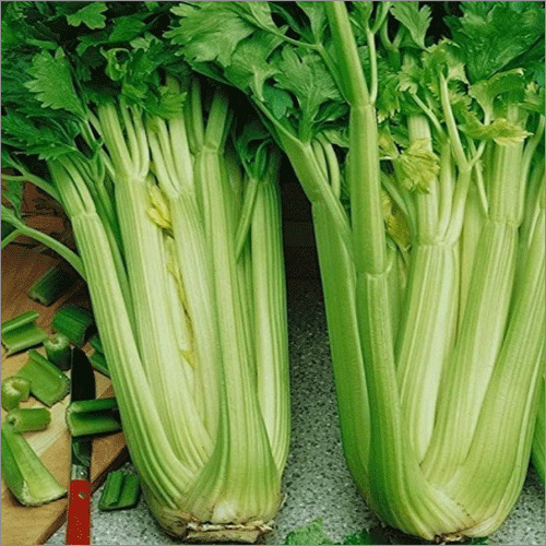 Celery Leave - Raw Blocky Shape, Green Color, 6 Months Shelf Life, Instant Style, High Fiber For Weight Loss And Eye Vision Support