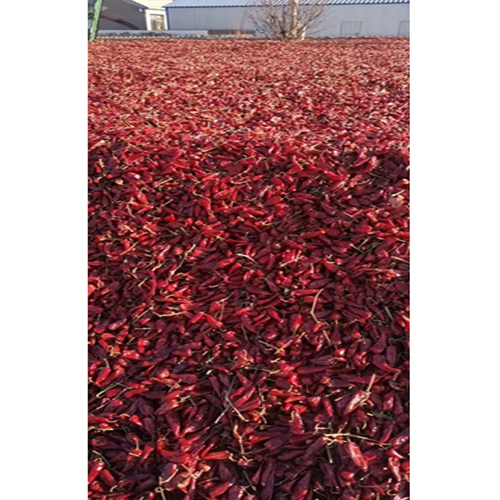 Natural Red Chilli Grade: First Class