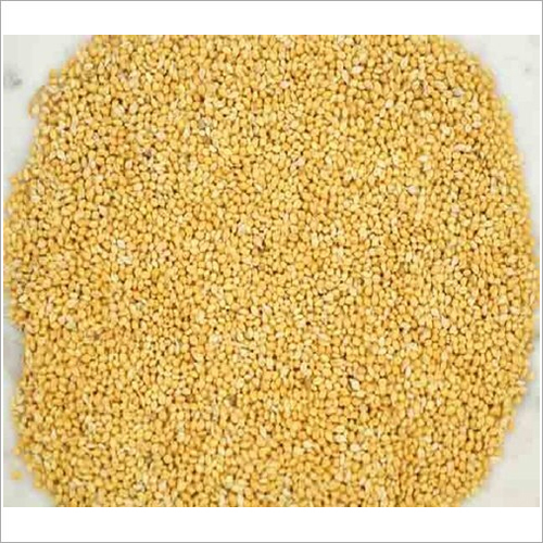 Common Organic Foxtail Millets