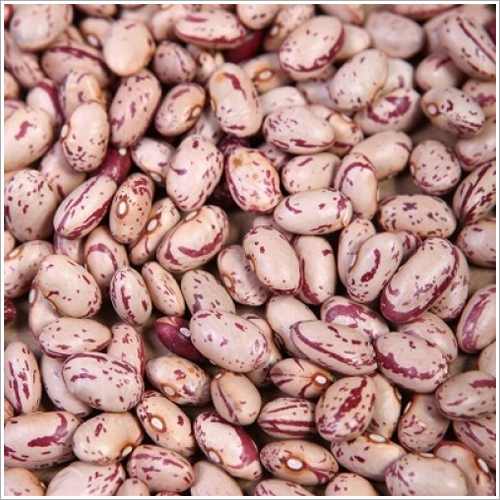 Organic Speckled Kidney Bean