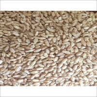 Organic Golden Wheat