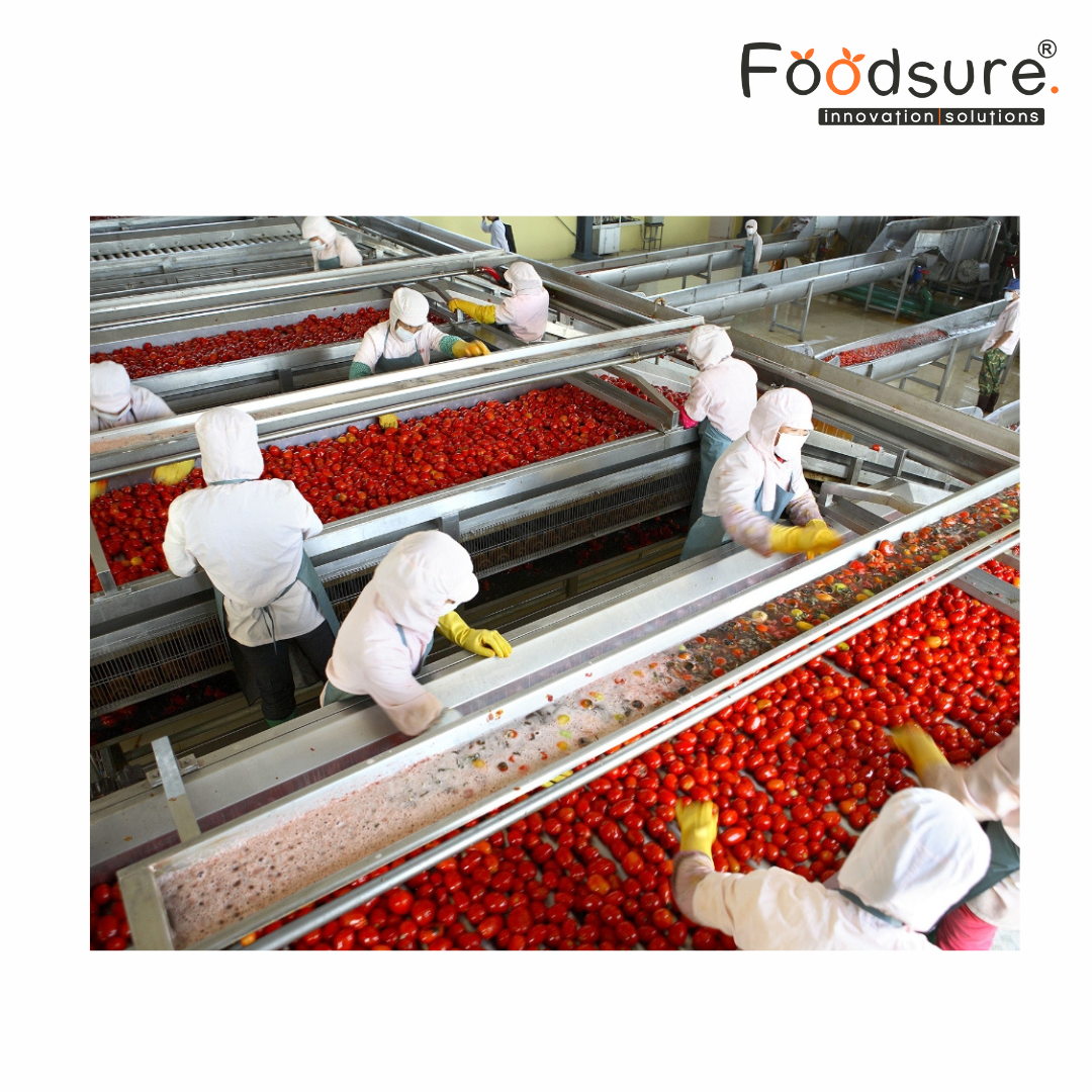Sauces Plant Setup - Capacity: Upto 3000 Kg/hr