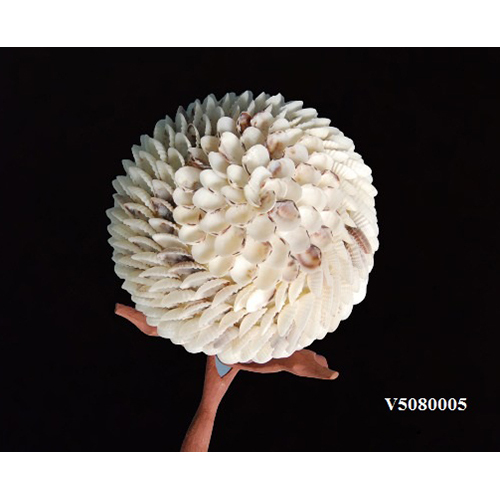 क्रीम V5080005 सीशेल बॉल्स