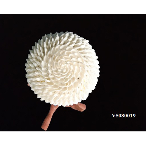 White V5080019 Seashell Balls
