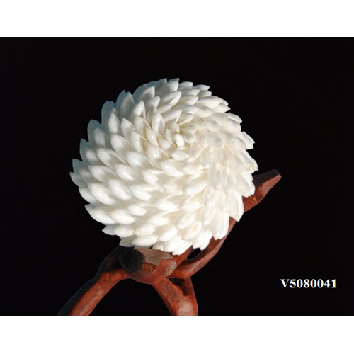 White V5080041 Seashell Balls