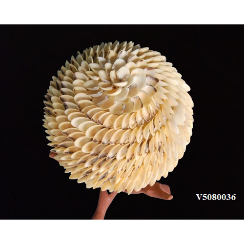 Brown V5080036 Seashell Balls
