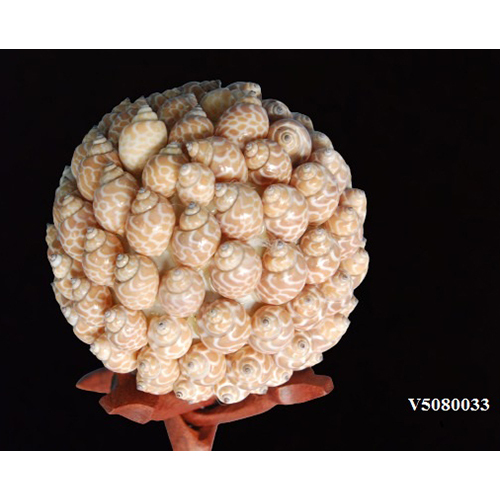 लाइट ब्राउन V5080033 सीशेल बॉल्स