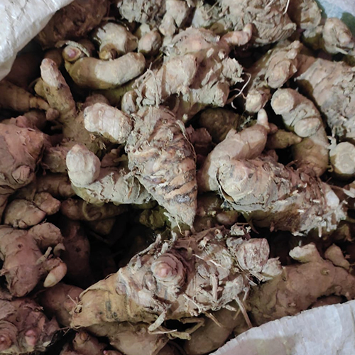 ताजा काली हल्दी ग्रेड: प्रथम श्रेणी