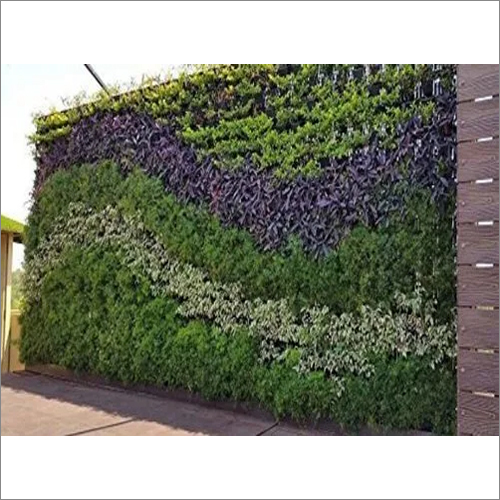 आयताकार प्राकृतिक हरी दीवार
