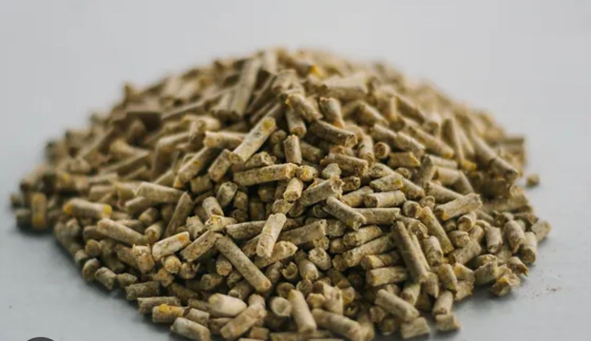 Cow Cattle Pellet Grade: First Class