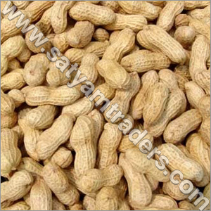 Groundnuts