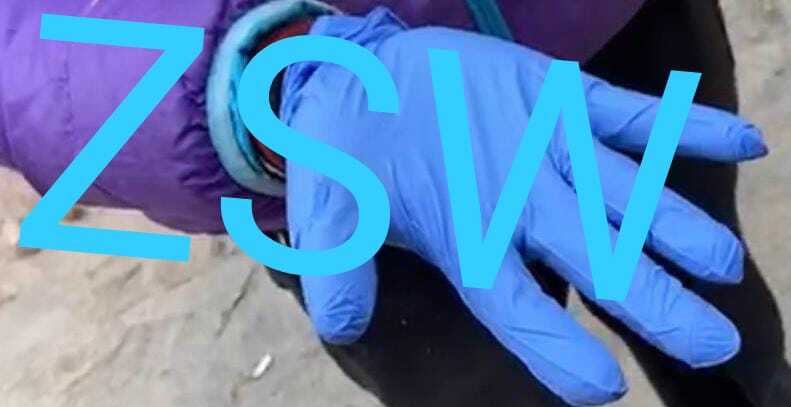 Nitrile Examination Gloves - Color: White
