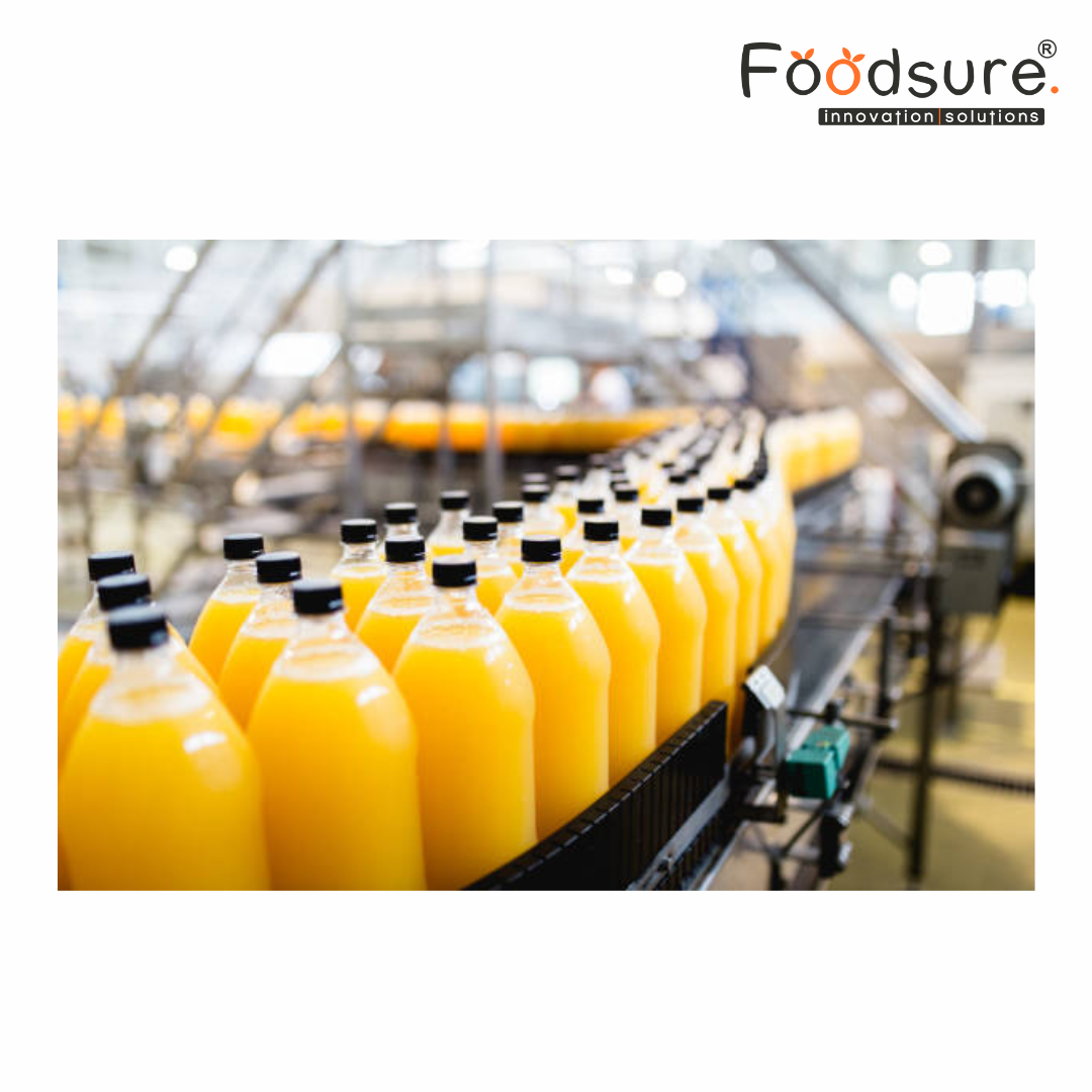 Flavored Beverages Plant Setup Consultant