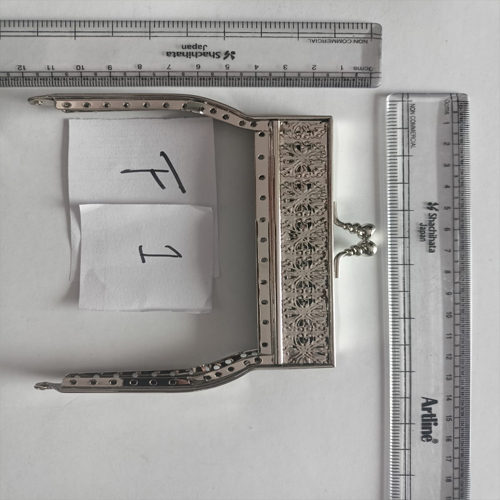Canvas F1 Clutch Frames