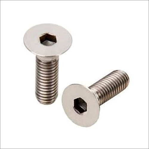 Silver Socket Head Allen Screw