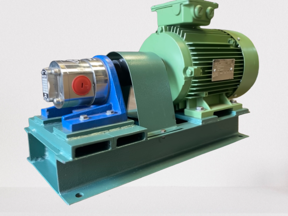 Cast Iron Stainless Steel Gear Pump