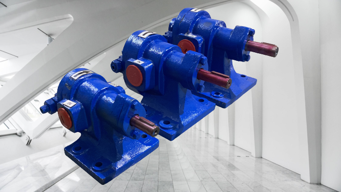 Rotary Gear Pump