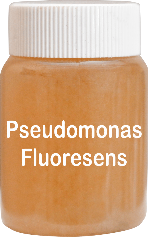 Pseudomonas Fluorescens Bio-pesticide - Orange Solution For Agriculture | Fungicide, Herbicide, Insecticide, Enhances Plant Growth And Disease Resistance