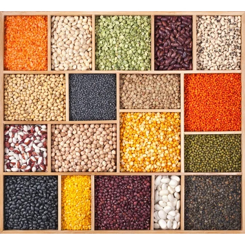 पल्सेस कूरियर सर्विसेज