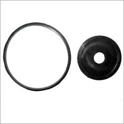 Oil Seal