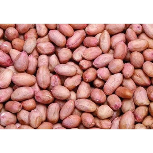 Dry Groundnut Seed - First Class Hybrid Seed | Common Cultivation, Edible, Rich in Nutrients and Taste
