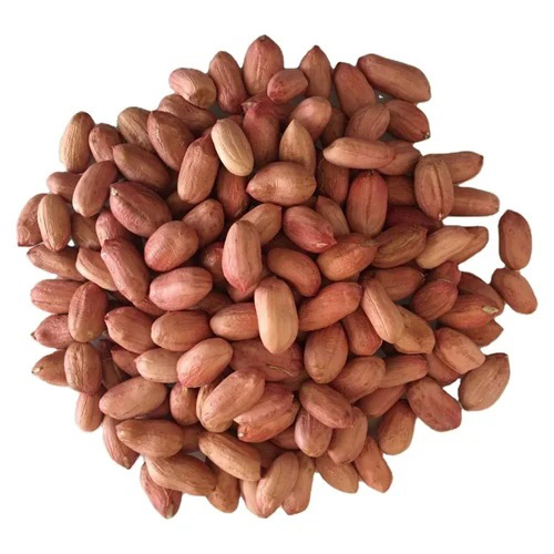 Common Natural Groundnut Seeds