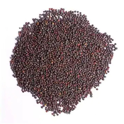 Black Mustard Seed - Common Cultivation, First Class Grade | Edible Hybrid Variety for Culinary Use and Flavor Enhancement