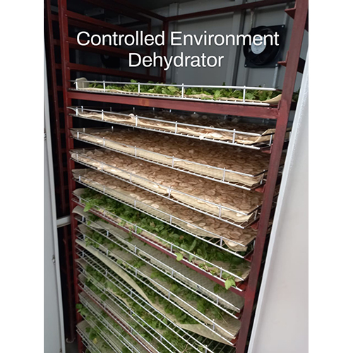 Dehydrated Vegetables Industrial