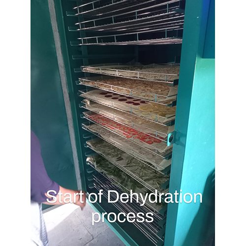 Dehydrated Vegetables Industrial