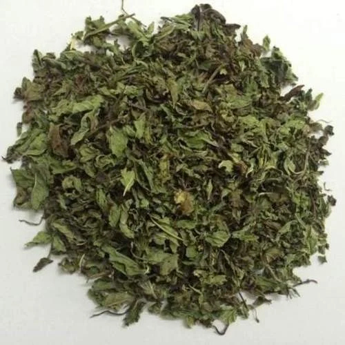 पुदीने की पत्तियों की शेल्फ लाइफ: 1 साल
