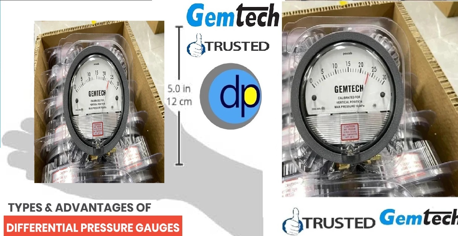 Black Series S2000 Gemtech Differential Pressure Gauges By Gandhinagar Gujarat