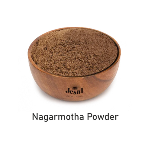 Agarbatti Nagarmotha Powder - 1 Kg Bag | Eco-Friendly, Earthy & Woody Aroma for Incense Stick Making, Indian Incense Ingredient