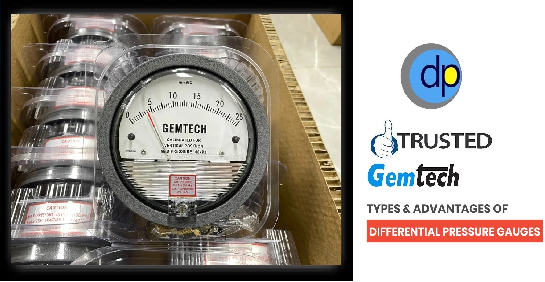 Black Series G2000 Gemtech Differential Pressure Gauges By Sonipat Haryana