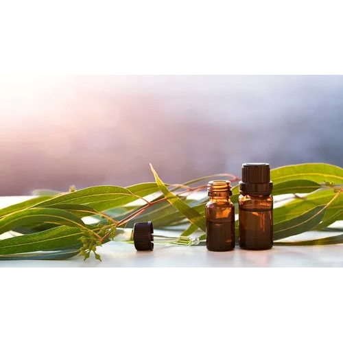 Eucalyptus Oil - 100% Pure Essential Oil, Liquid Form for Adults | Store in Cool, Dry Place