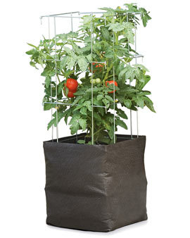 ग्रो बैग