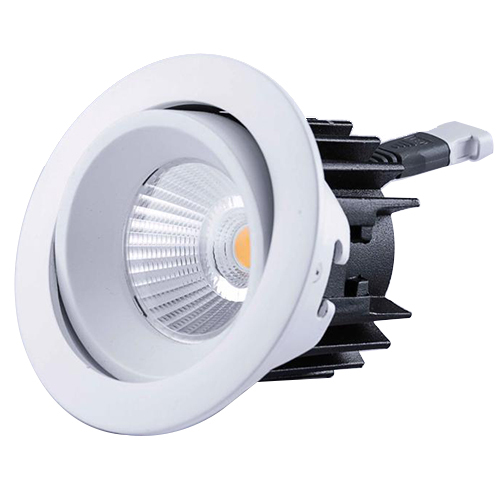 Bdl-r-002 Down Light - Application: Commercial