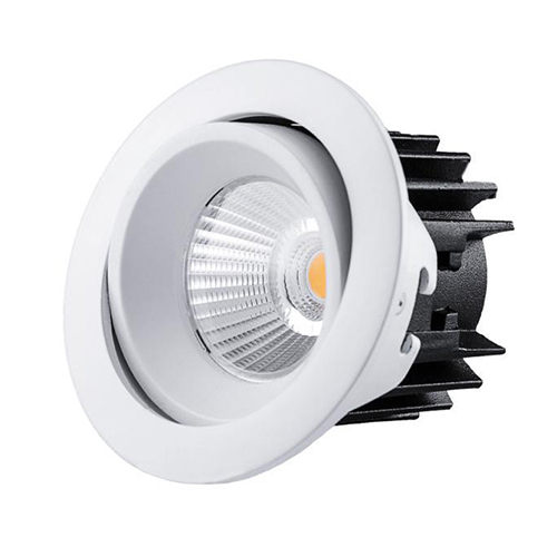 Bdl-r-002 Down Light - Application: Commercial