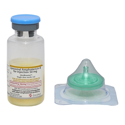 Powder Amphotericin B Injection