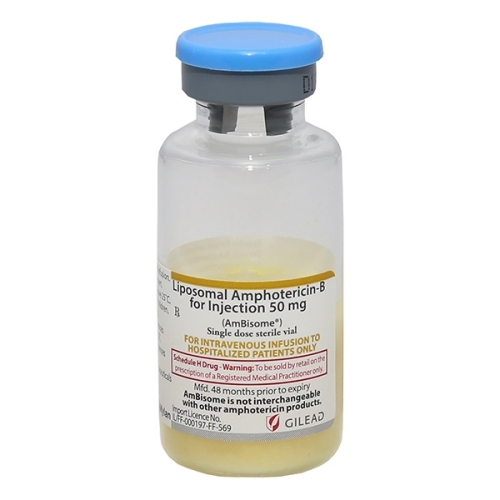 Powder Amphotericin B Injection