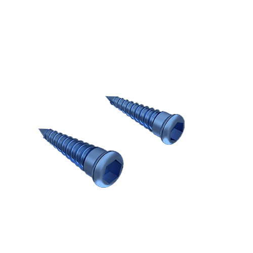Titanium Bone Screw