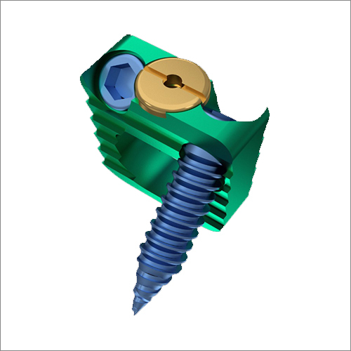 Titanium Cage With Screw