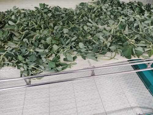 कसूरी मेथी