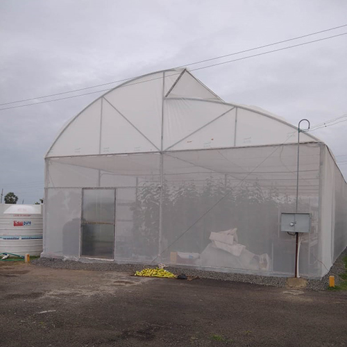 Tunnel Type Polyhouse - Film Cover, Large Size | Plastic Frame For Optimal Growth