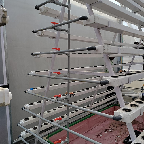 Nft A Type Hydroponics System Cover Material: Film