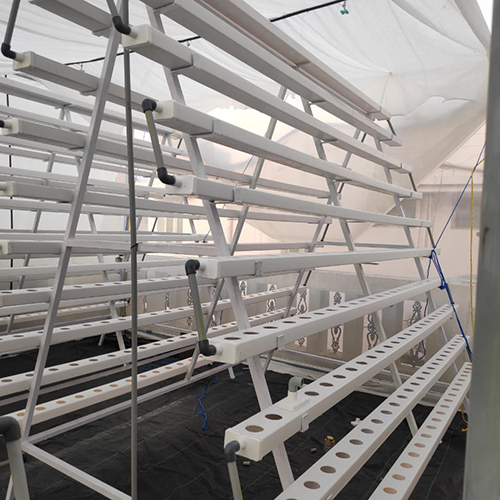 Nft A Type Hydroponics System Cover Material: Film