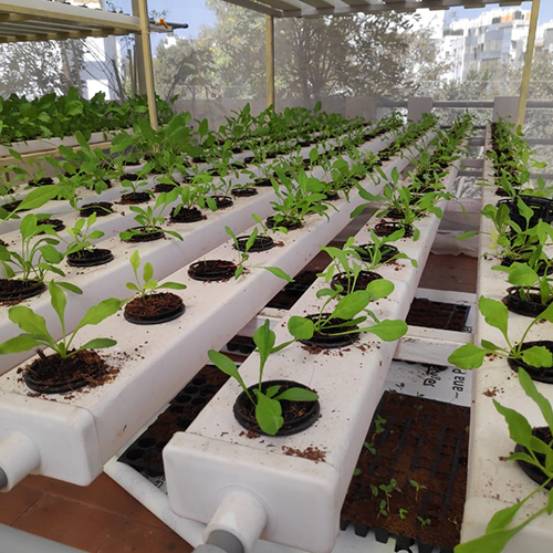 Rectangular Hydroponics System - Plastic Frame, Large Greenhouse Size | Film Cover Material, Ideal For Efficient Plant Growth